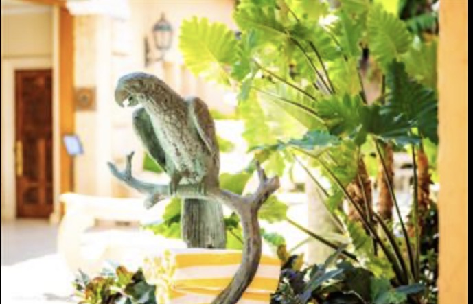 Bronze parrot sculpture